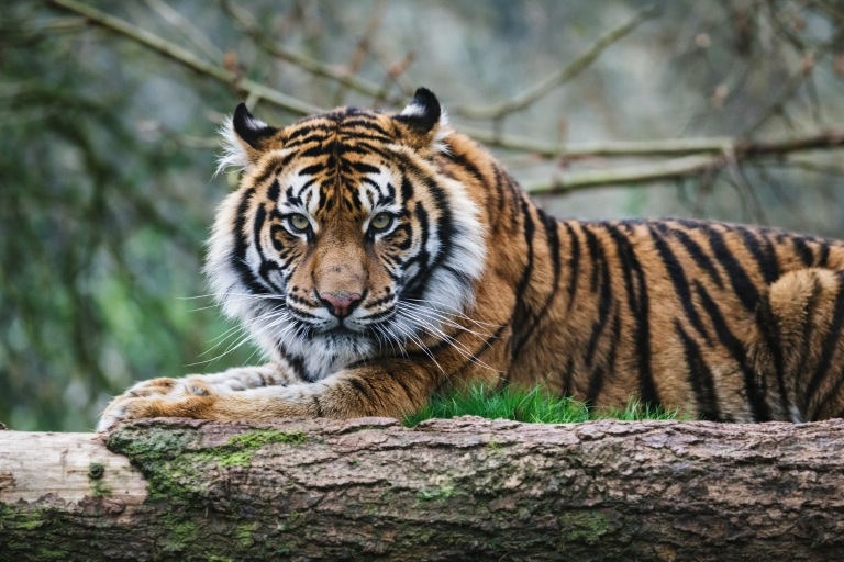 file_00000000bd487207a39b5500a4bdaa7f (1)